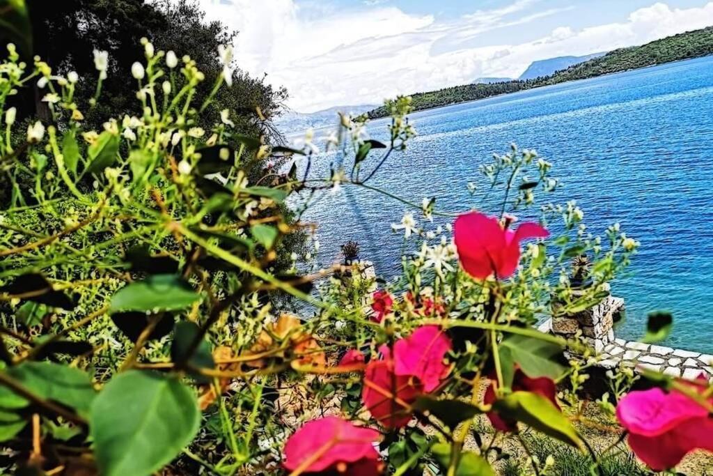 Villa Violeta Lefkada Nydri Luaran gambar