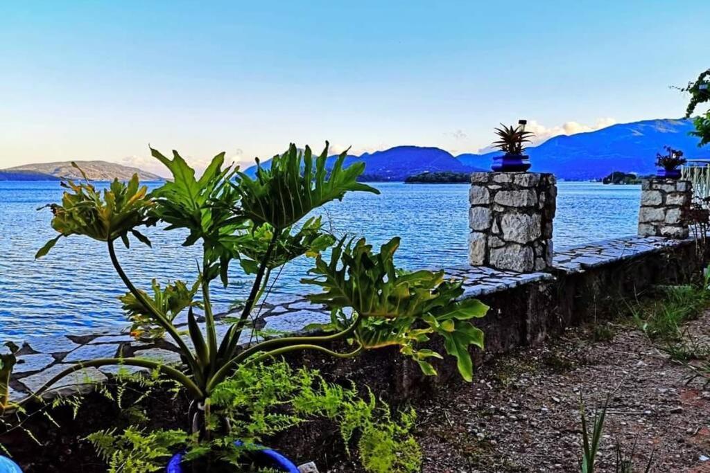 Villa Violeta Lefkada Nydri Luaran gambar