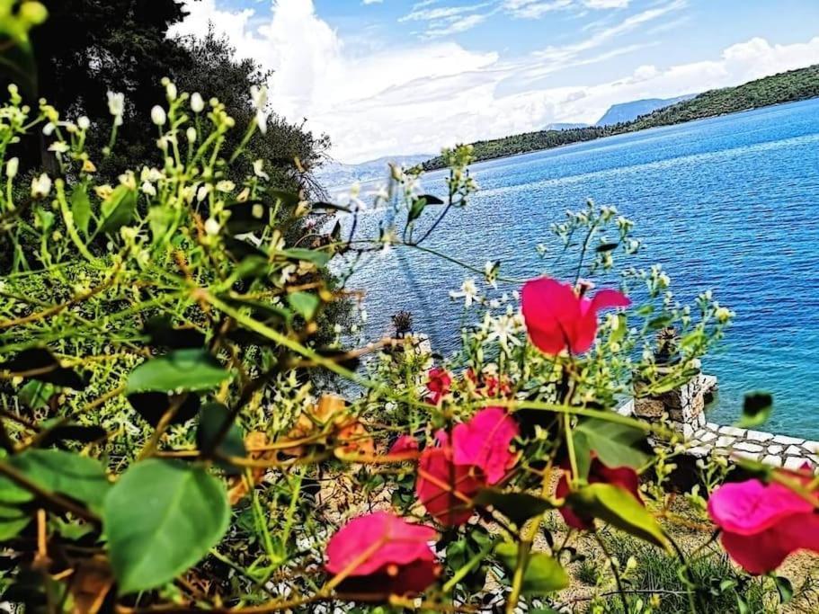 Villa Violeta Lefkada Nydri Luaran gambar
